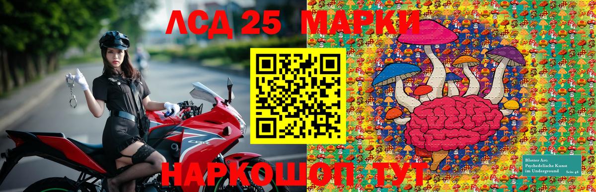 Марки NBOMe 1,5мг Нерюнгри