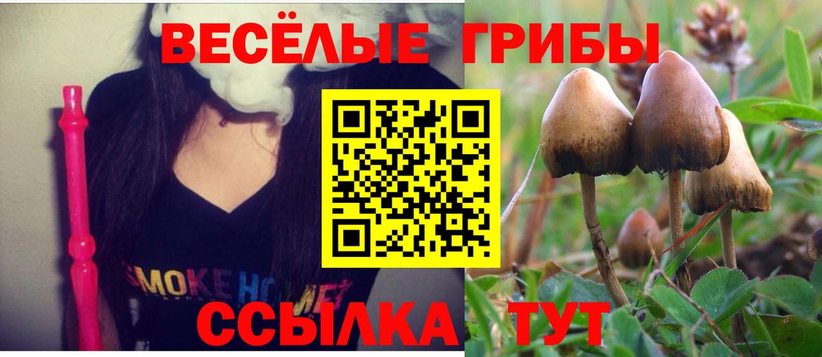 Нерюнгри  Псилоцибиновые грибы прущие грибы  цены   Вход с VPN 